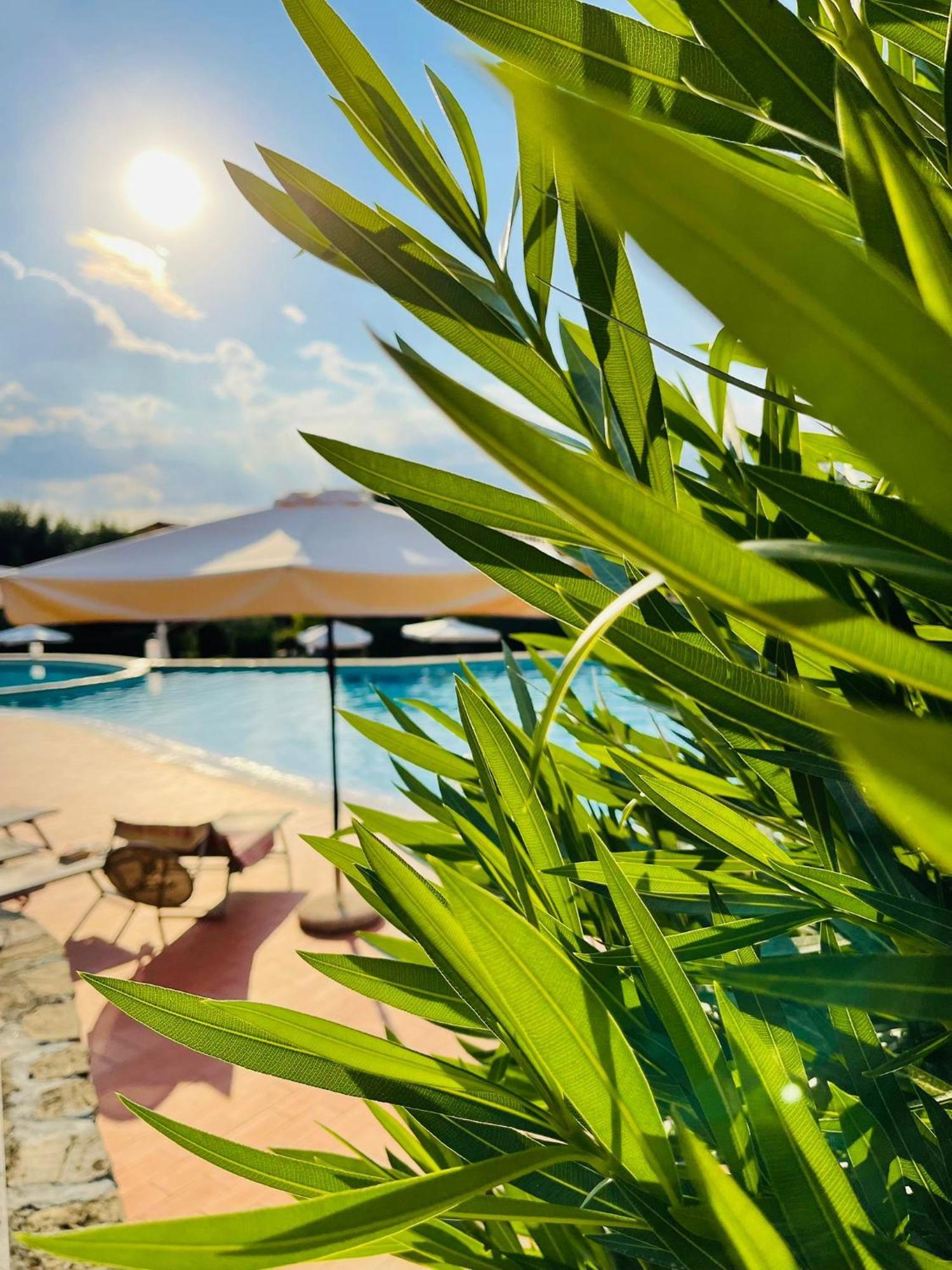 Apartmán Borgo Del Torchio - Gardagate Manerba del Garda Exteriér fotografie